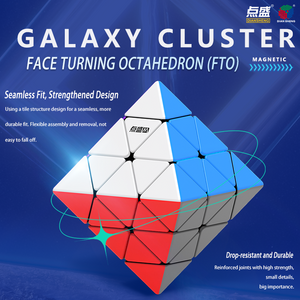 DianSheng FTO Magnetic