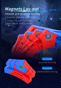 DianSheng Galaxy Teraminx M