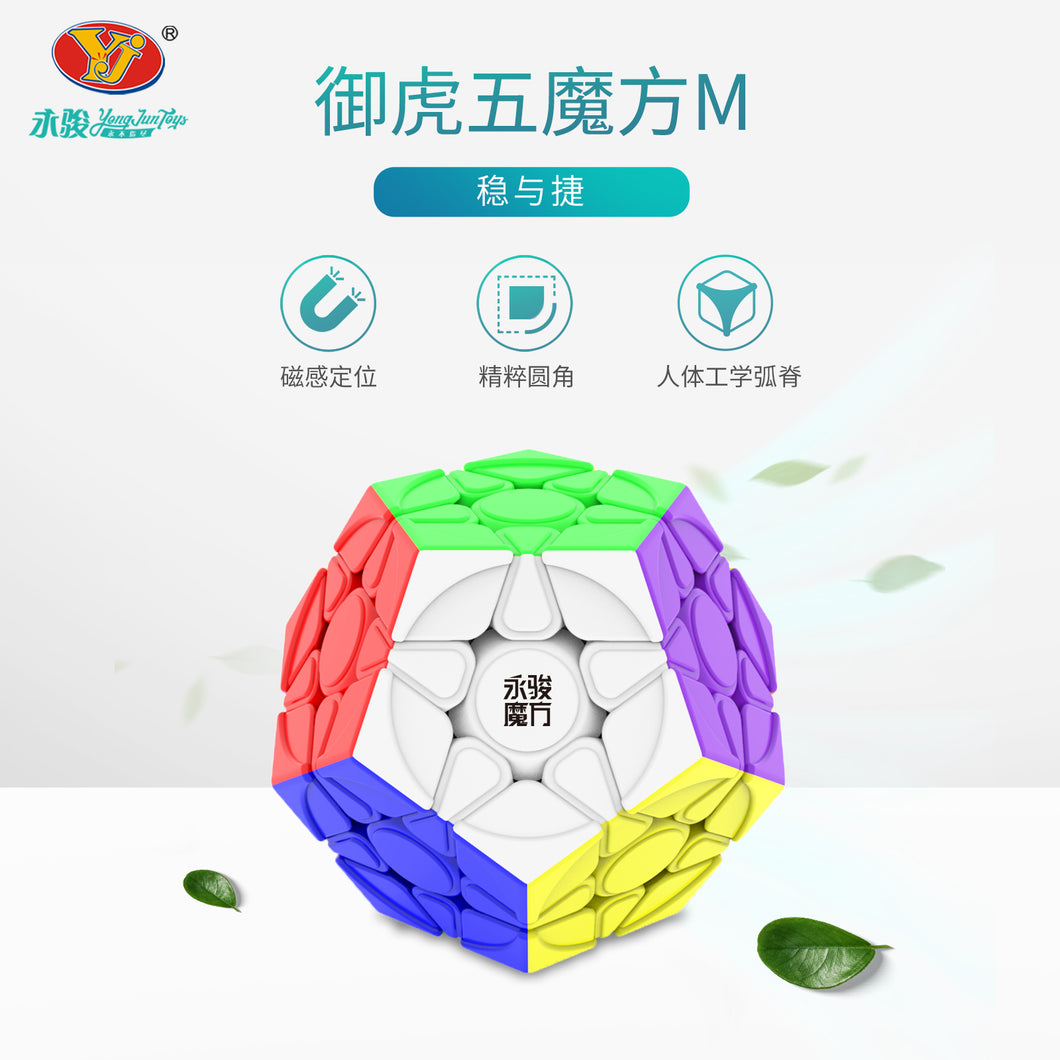 YJ YuHu Megaminx V2 M