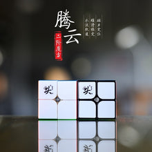 Load image into Gallery viewer, DaYan TengYun M 2x2x2
