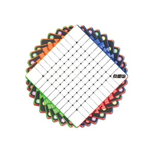 DianSheng Galaxy 10x10x10 M