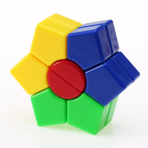 DianSheng Two-Layer Square-1 - Mo Biao